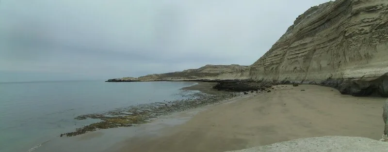 Buceo y snorkel con lobos marinos en Puerto Pirámides — Península Valdés