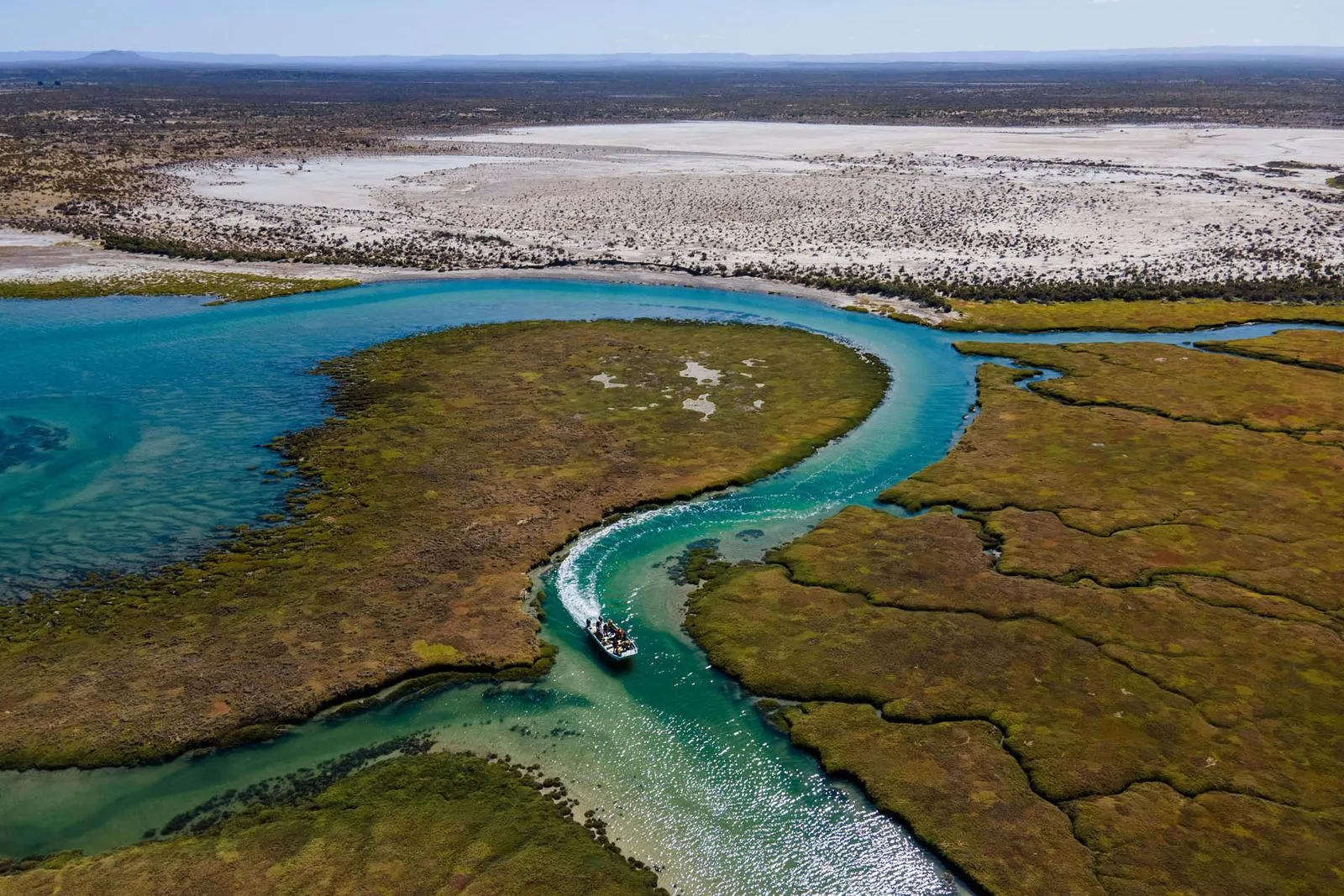Bahía Bustamante: el pueblo alguero de Chubut donde el mar es el protagonista